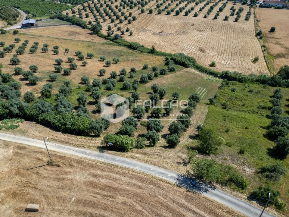 Terreno Agricola ou Rústico para Venda em Casével e Vaqueiros Foto 3