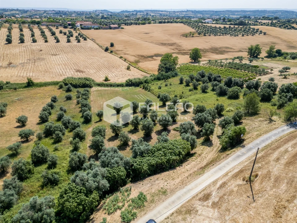 Terreno Agricola ou Rústico para Venda em Casével e Vaqueiros Foto 7