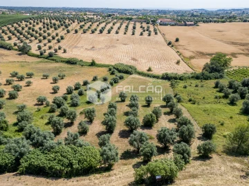 Terreno Agricola ou Rústico para Venda em Casével e Vaqueiros