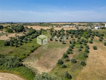 Terreno Agricola ou Rústico para Venda em Casével e Vaqueiros