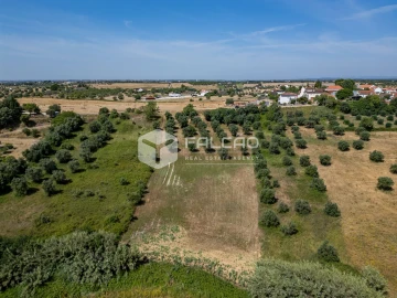 Terreno Agricola ou Rústico para Venda em Casével e Vaqueiros