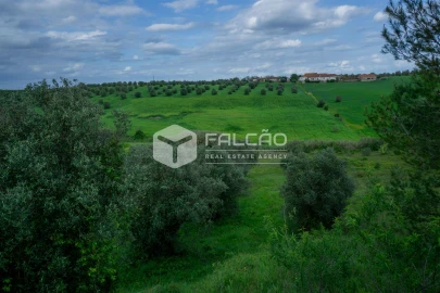 Terreno Agricola ou Rústico para Venda em Casével e Vaqueiros