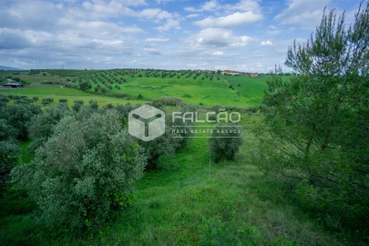 Terreno Agricola ou Rústico para Venda em Casével e Vaqueiros