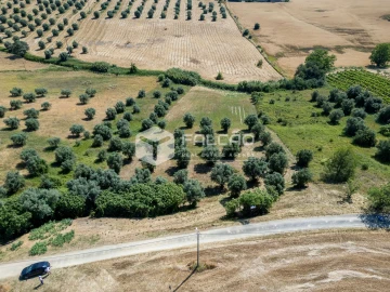 Terreno Agricola ou Rústico para Venda em Casével e Vaqueiros