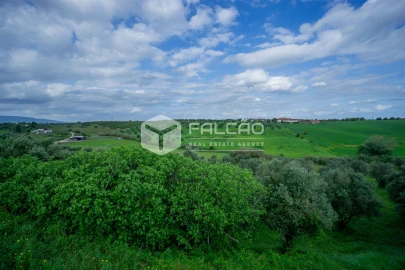Terreno Agricola ou Rústico para Venda em Casével e Vaqueiros