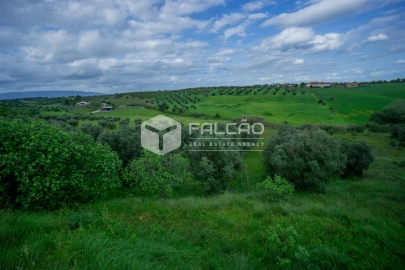 Terreno Agricola ou Rústico para Venda em Casével e Vaqueiros