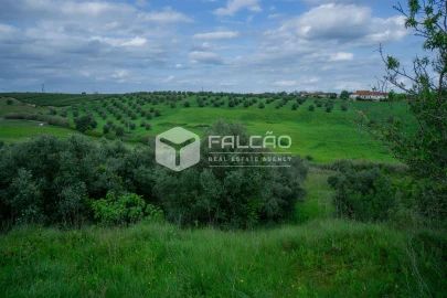 Terreno Agricola ou Rústico para Venda em Casével e Vaqueiros