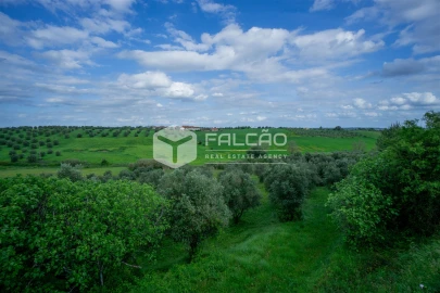 Terreno Agricola ou Rústico para Venda em Casével e Vaqueiros