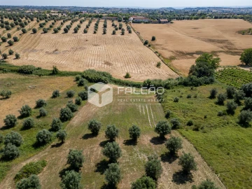 Terreno Agricola ou Rústico para Venda em Casével e Vaqueiros