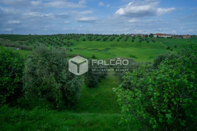 Terreno Agricola ou Rústico para Venda em Casével e Vaqueiros