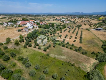 Terreno Agricola ou Rústico para Venda em Casével e Vaqueiros