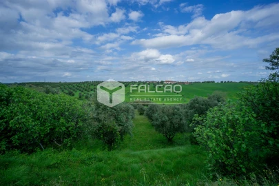 Terreno Agricola ou Rústico para Venda em Casével e Vaqueiros
