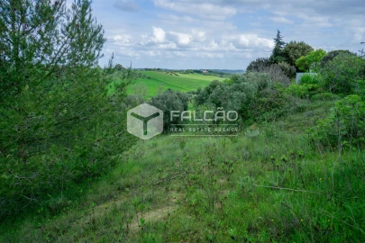 Terreno Agricola ou Rústico para Venda em Casével e Vaqueiros