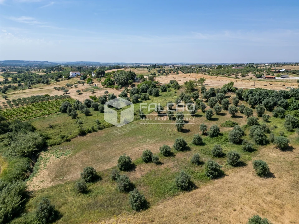 Terreno Agricola ou Rústico para Venda em Casével e Vaqueiros Foto 16