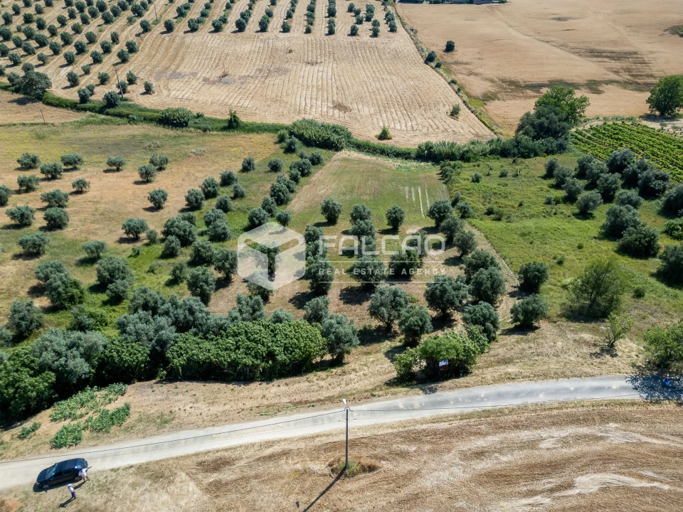 Terreno Agricola ou Rústico para Venda em Casével e Vaqueiros Foto 4