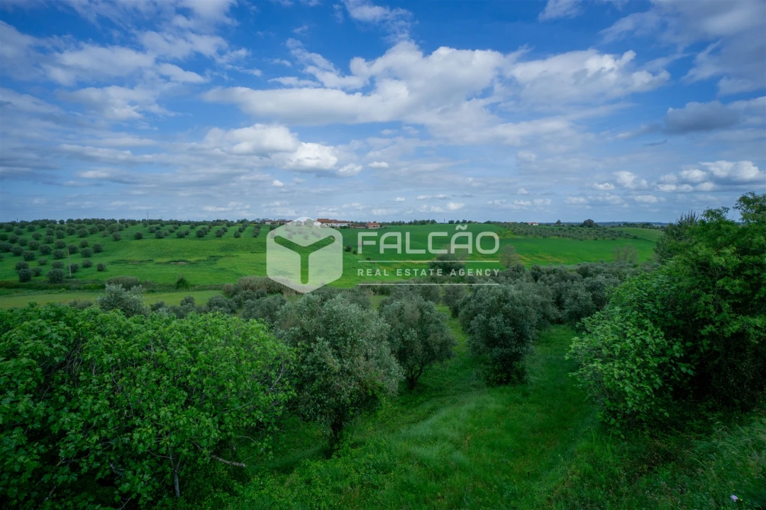 Terreno Agricola ou Rústico para Venda em Casével e Vaqueiros Foto 19