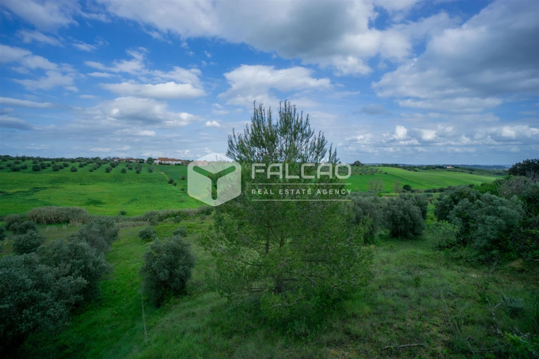 Terreno Agricola ou Rústico para Venda em Casével e Vaqueiros Foto 31
