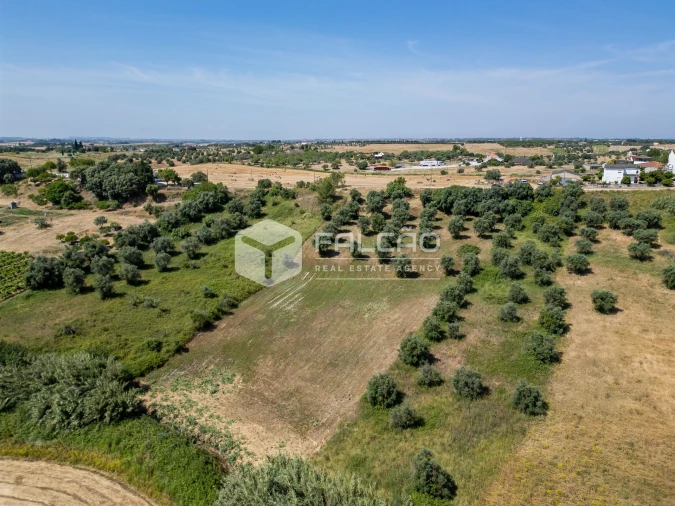 Terreno Agricola ou Rústico para Venda em Casével e Vaqueiros Foto 11
