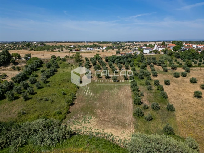 Terreno Agricola ou Rústico para Venda em Casével e Vaqueiros Foto 10