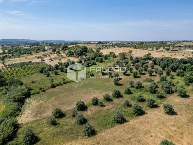 Terreno Agricola ou Rústico para Venda em Casével e Vaqueiros Foto 16