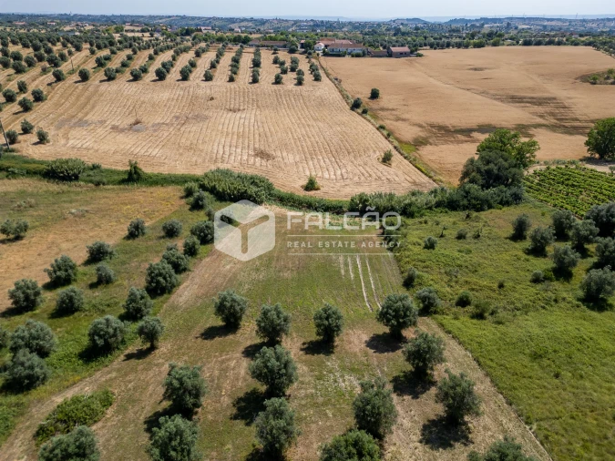Terreno Agricola ou Rústico para Venda em Casével e Vaqueiros Foto 6