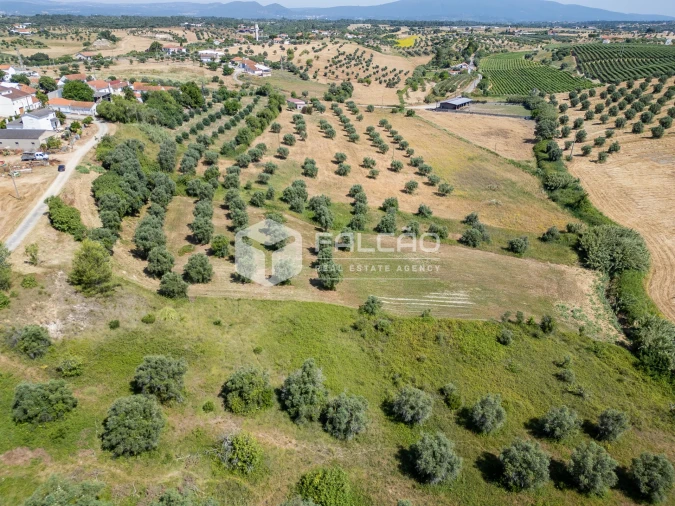 Terreno Agricola ou Rústico para Venda em Casével e Vaqueiros Foto 17