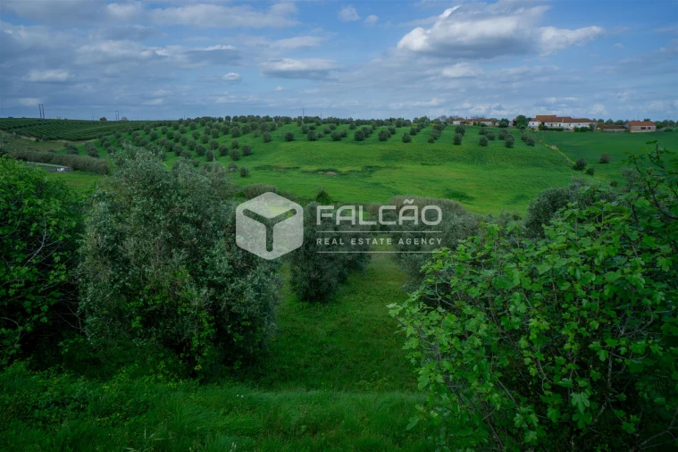 Terreno Agricola ou Rústico para Venda em Casével e Vaqueiros Foto 37