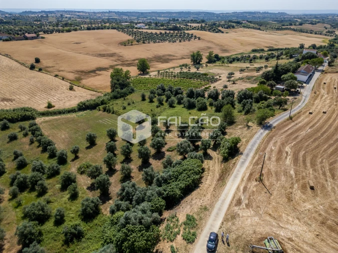 Terreno Agricola ou Rústico para Venda em Casével e Vaqueiros Foto 5