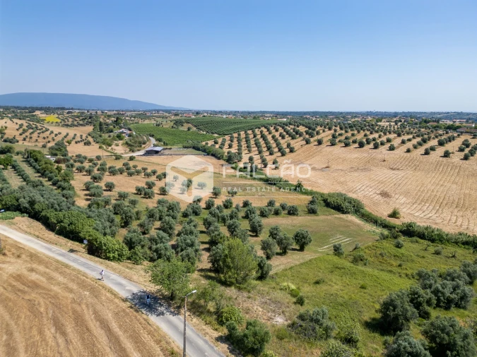 Terreno Agricola ou Rústico para Venda em Casével e Vaqueiros Foto 15