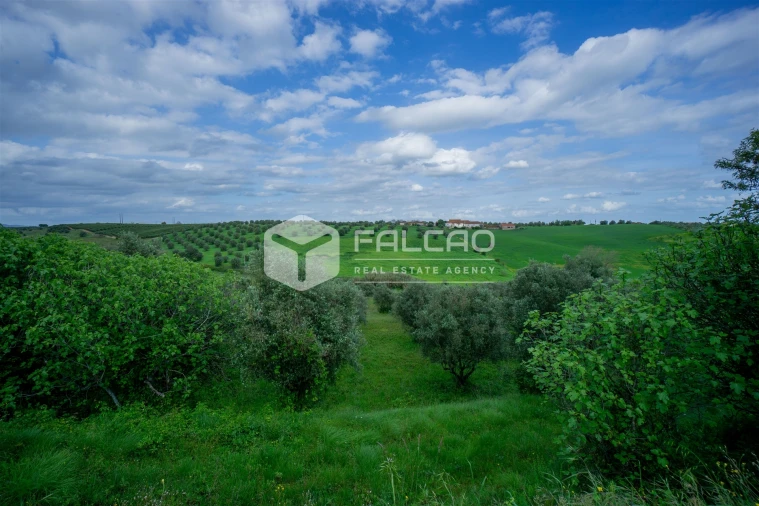 Terreno Agricola ou Rústico para Venda em Casével e Vaqueiros Foto 22