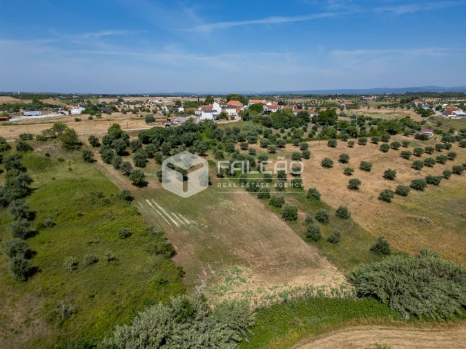 Terreno Agricola ou Rústico para Venda em Casével e Vaqueiros Foto 9