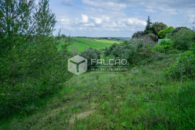 Terreno Agricola ou Rústico para Venda em Casével e Vaqueiros Foto 33