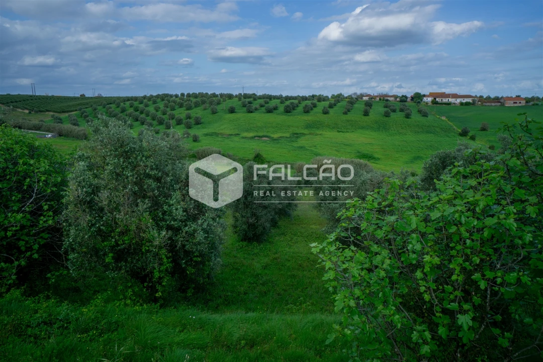 Terreno Agricola ou Rústico para Venda em Casével e Vaqueiros Foto 37