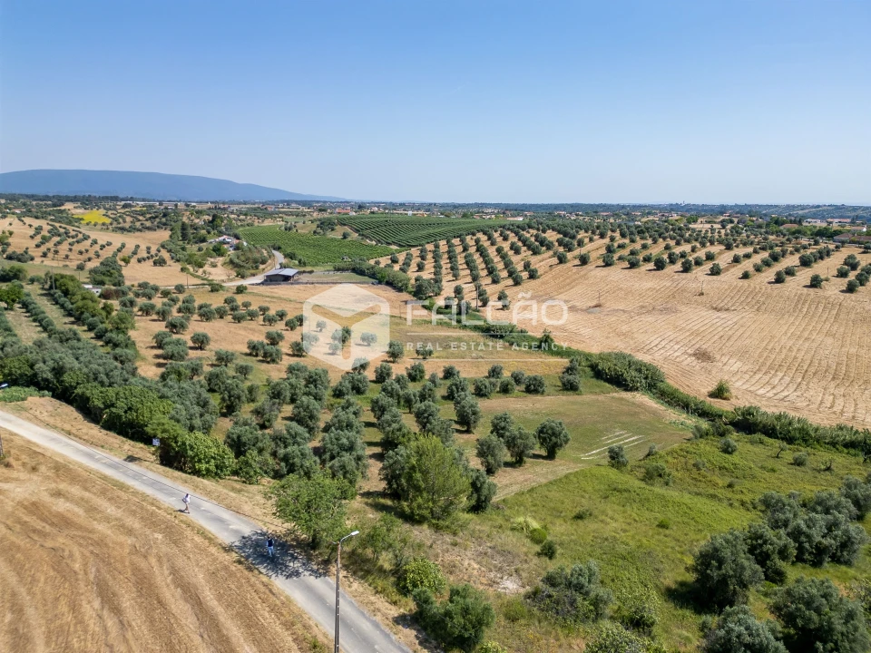 Terreno Agricola ou Rústico para Venda em Casével e Vaqueiros Foto 15