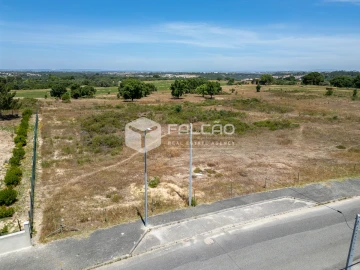 Terreno para Venda em Almoster