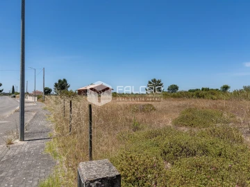 Terreno para Venda em Almoster