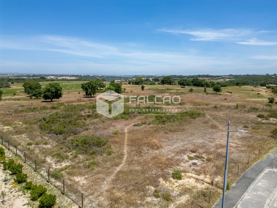 Terreno para Venda em Almoster Foto 12