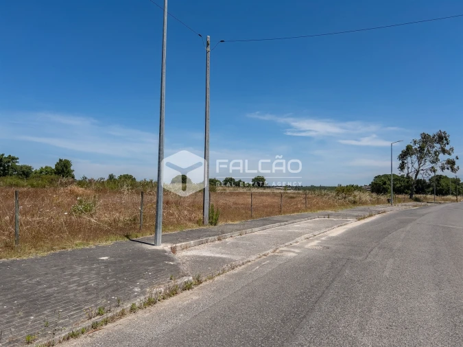 Terreno para Venda em Almoster Foto 17