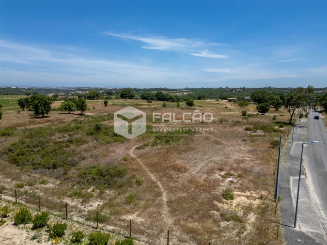 Terreno para Venda em Almoster Foto 10