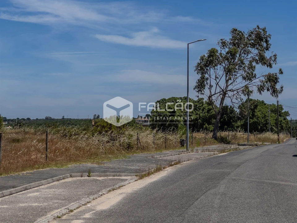 Terreno para Venda em Almoster Foto 18