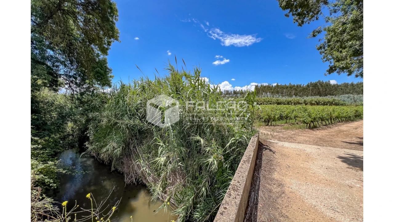 Terreno para Venda em Manique do Intendente, Vila Nova de São Pedro e Maçussa Foto 30