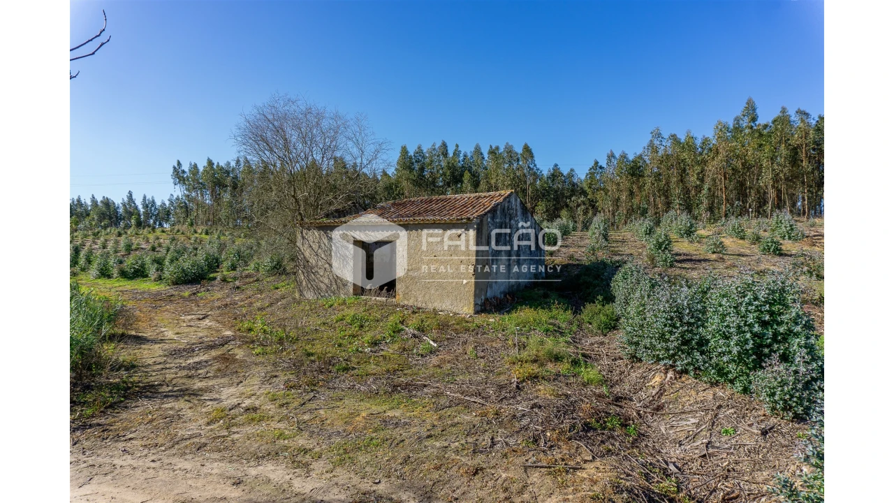 Terreno para Venda em Manique do Intendente, Vila Nova de São Pedro e Maçussa Foto 41