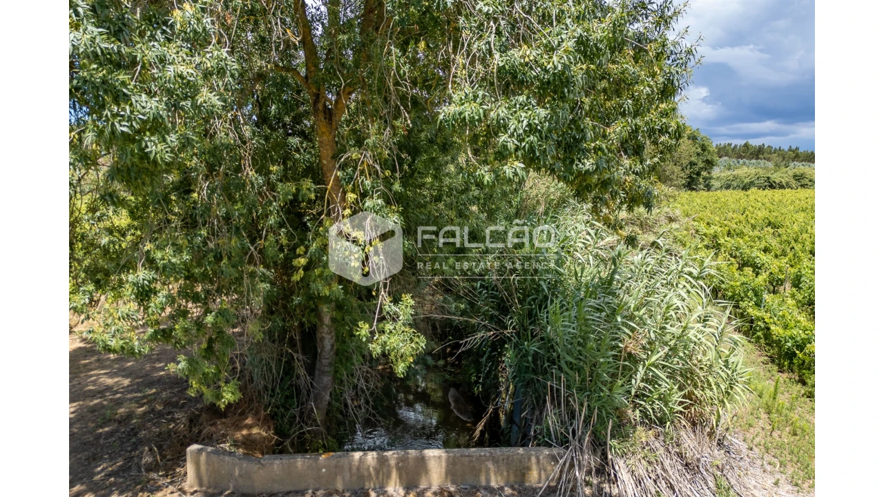 Terreno para Venda em Manique do Intendente, Vila Nova de São Pedro e Maçussa Foto 24