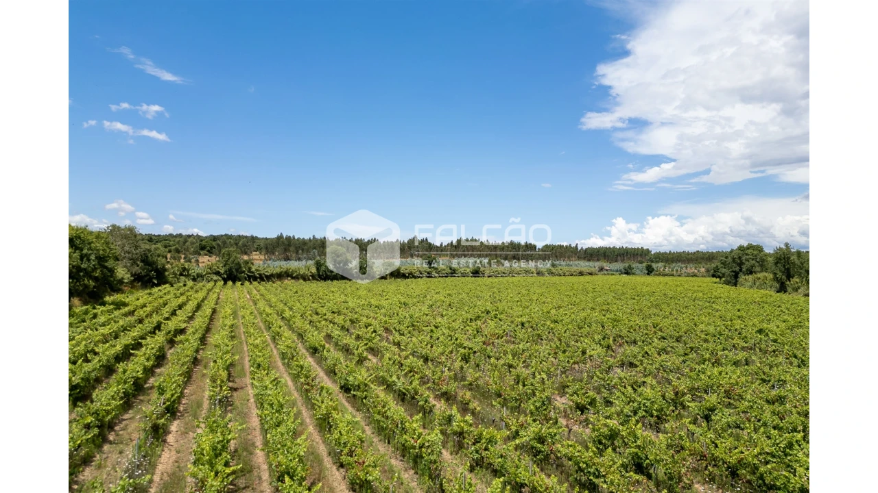 Terreno para Venda em Manique do Intendente, Vila Nova de São Pedro e Maçussa Foto 12