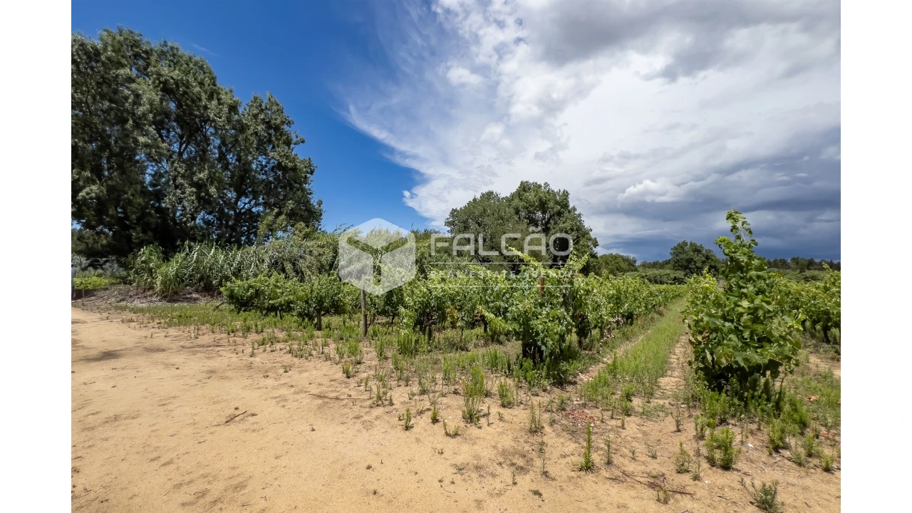 Terreno para Venda em Manique do Intendente, Vila Nova de São Pedro e Maçussa Foto 34
