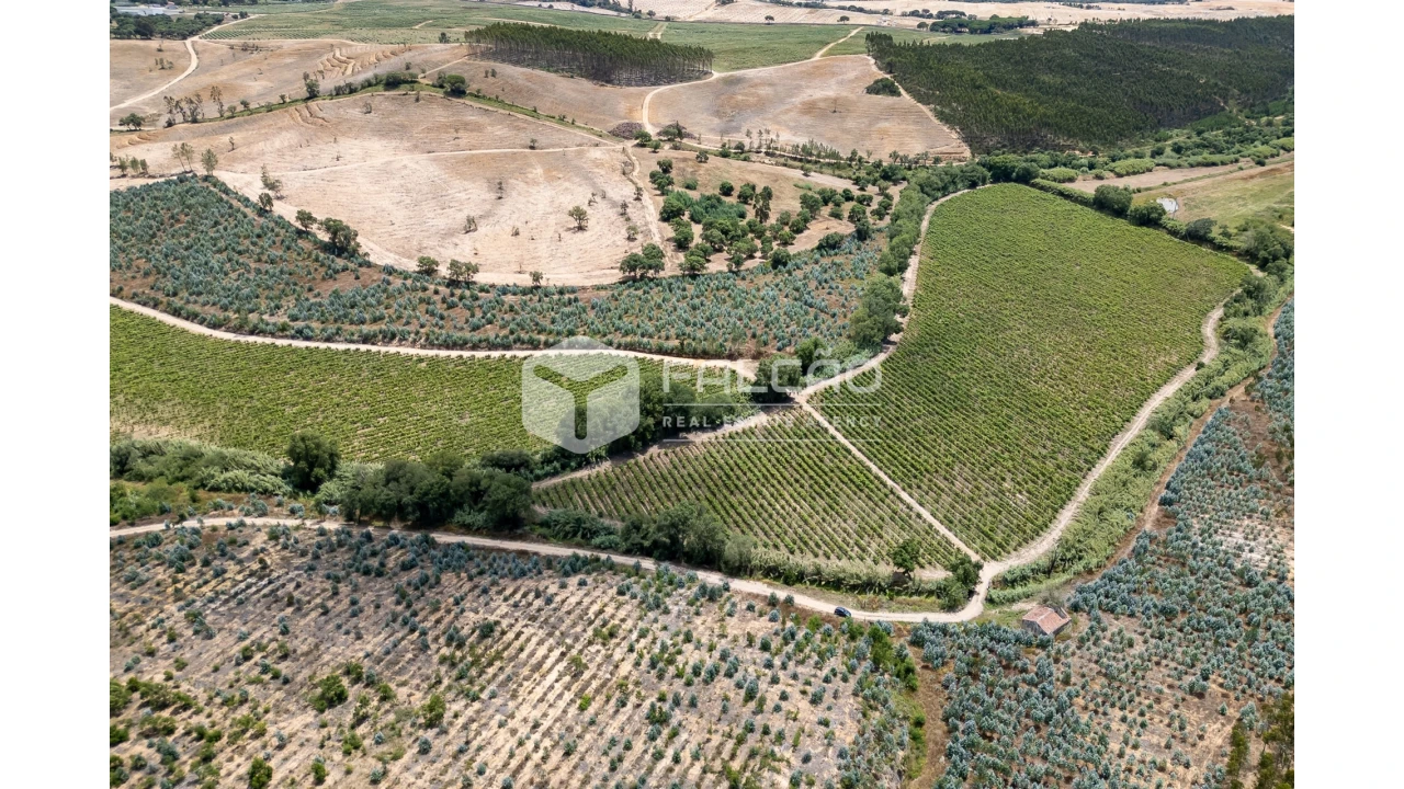 Terreno para Venda em Manique do Intendente, Vila Nova de São Pedro e Maçussa Foto 5