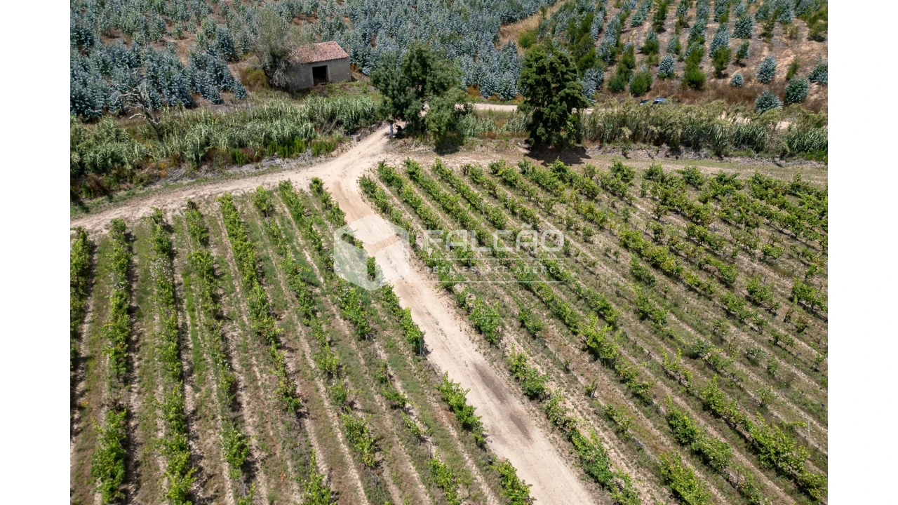 Terreno para Venda em Manique do Intendente, Vila Nova de São Pedro e Maçussa Foto 21