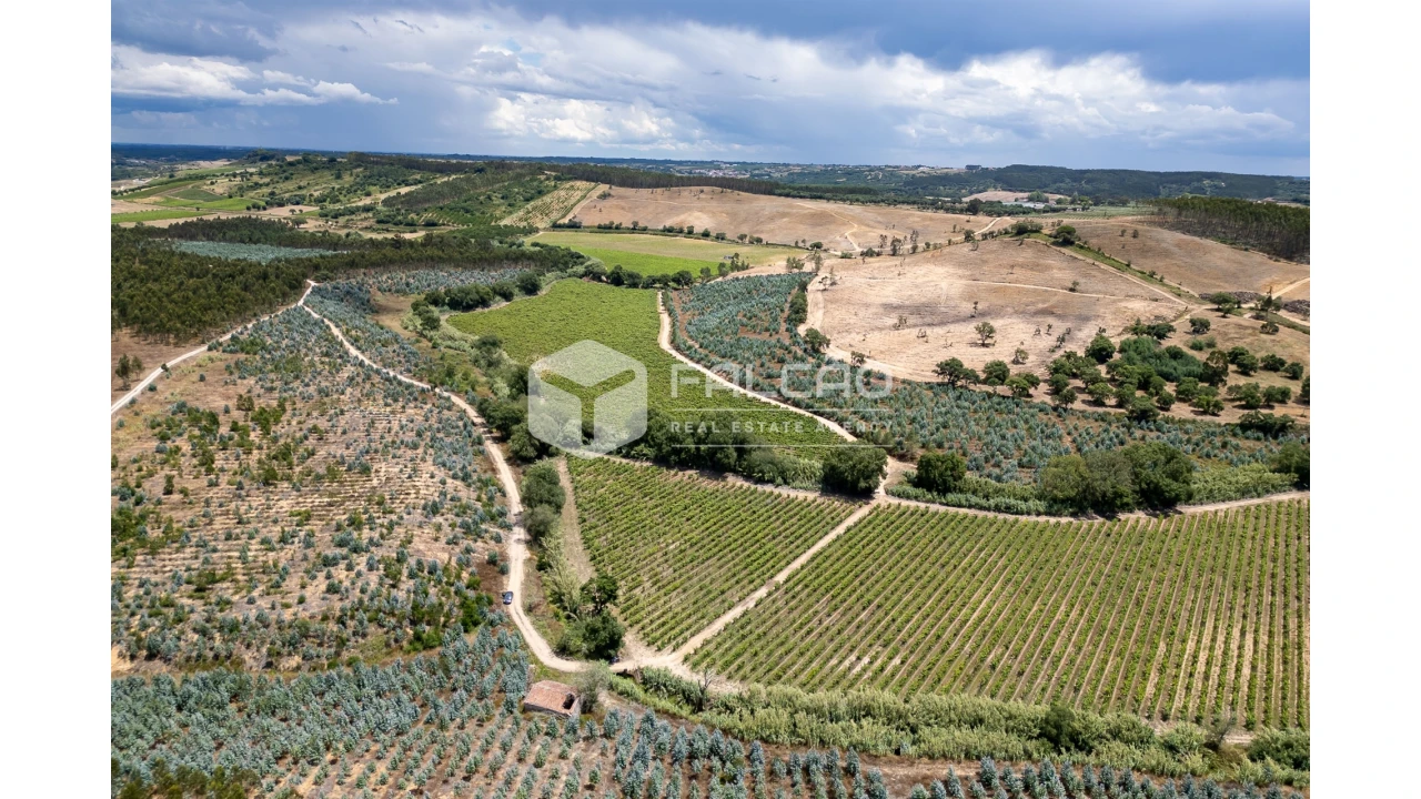 Terreno para Venda em Manique do Intendente, Vila Nova de São Pedro e Maçussa Foto 7