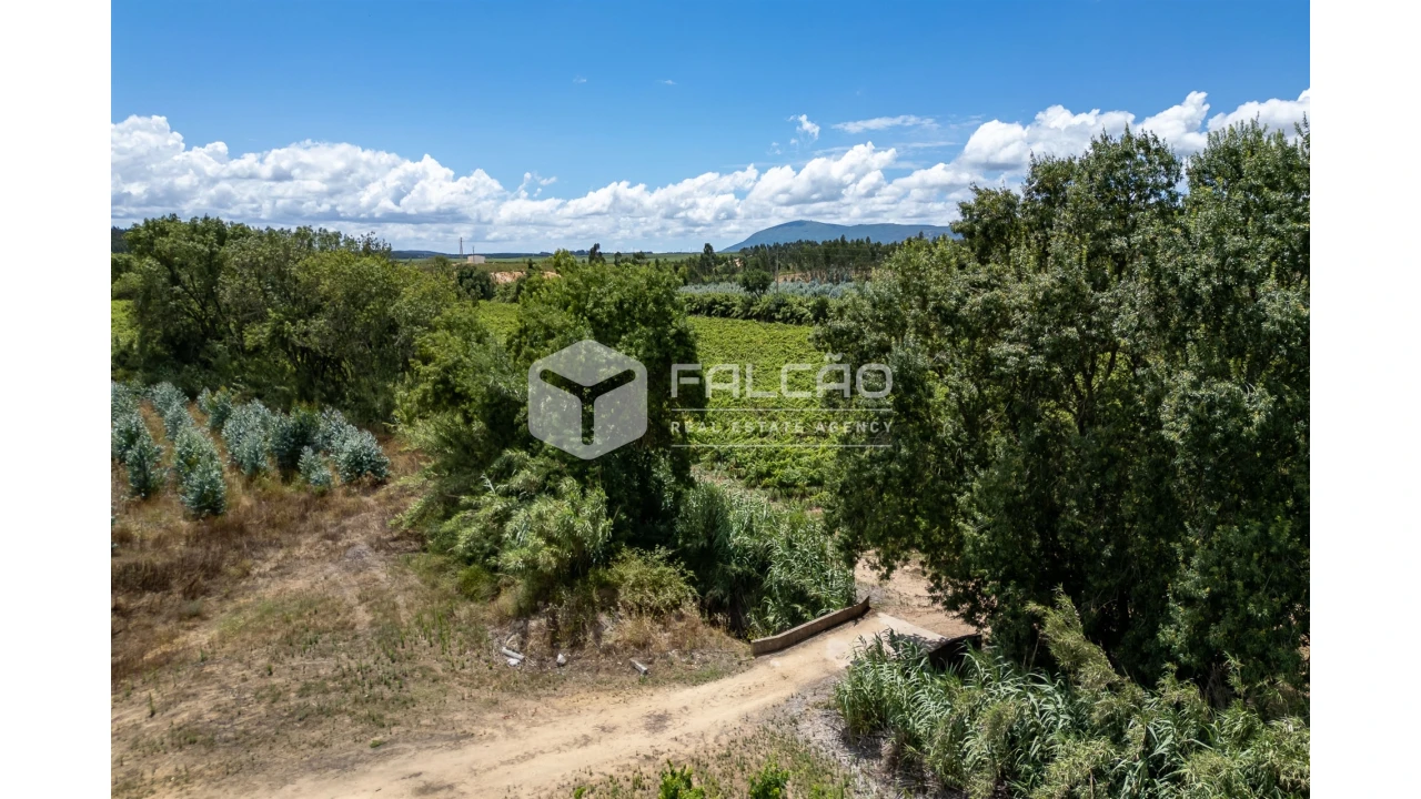 Terreno para Venda em Manique do Intendente, Vila Nova de São Pedro e Maçussa Foto 18