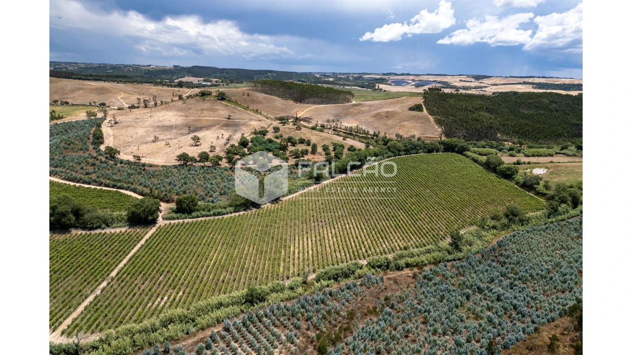 Terreno para Venda em Manique do Intendente, Vila Nova de São Pedro e Maçussa Foto 8